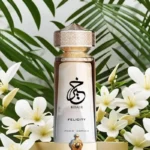 Khair Felicity – Paris Corner – Image 2