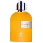 Luminous Vivid – Maison Alhambra